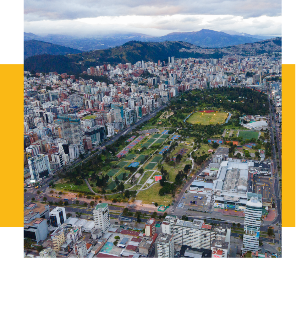 Estudio de impacto en la movilidad y calidad de arbolado urbano en el polígono del proyecto APPA
